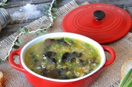 30 лучших рецептов супов из курицы и ароматного куриного бульона
