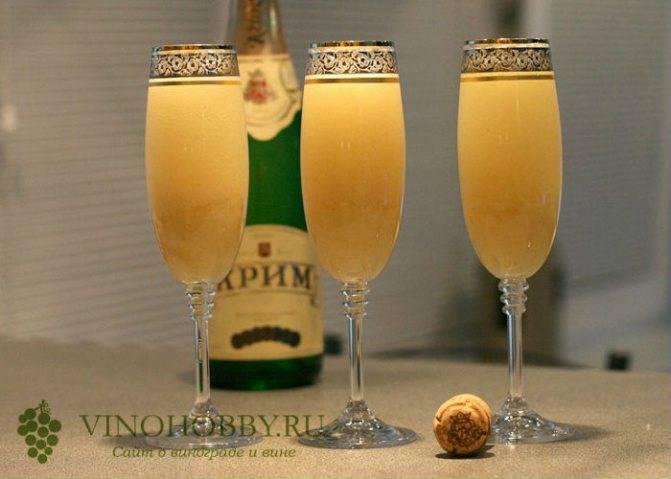 Топ-9 проверенных рецептов венецианского коктейля «беллини»