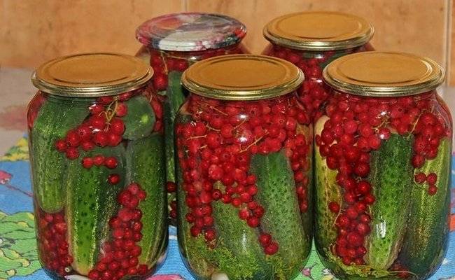 Хрустящие огурцы на зиму в банках