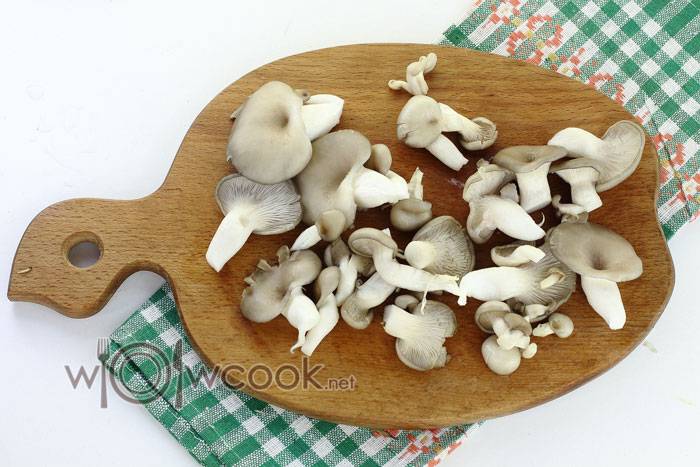 Фрикасе из курицы с шампиньонами по классическому рецепту