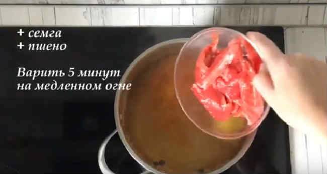 Уха из семги