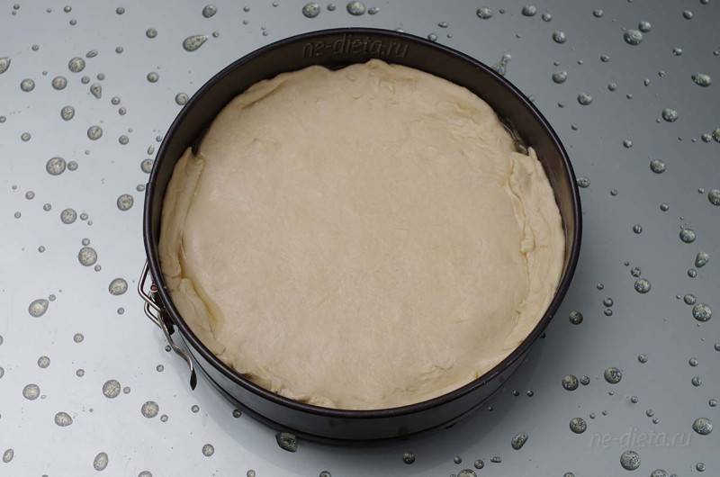 15 рецептов, как приготовить вкуснейший лимонный пирог