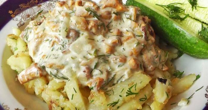 Вкуснейшие тушеные блюда с картошкой и грибами в мультиварках редмонд и поларис. рецепты и фото