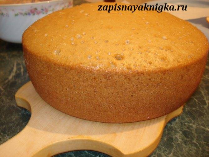 Медовый бисквит