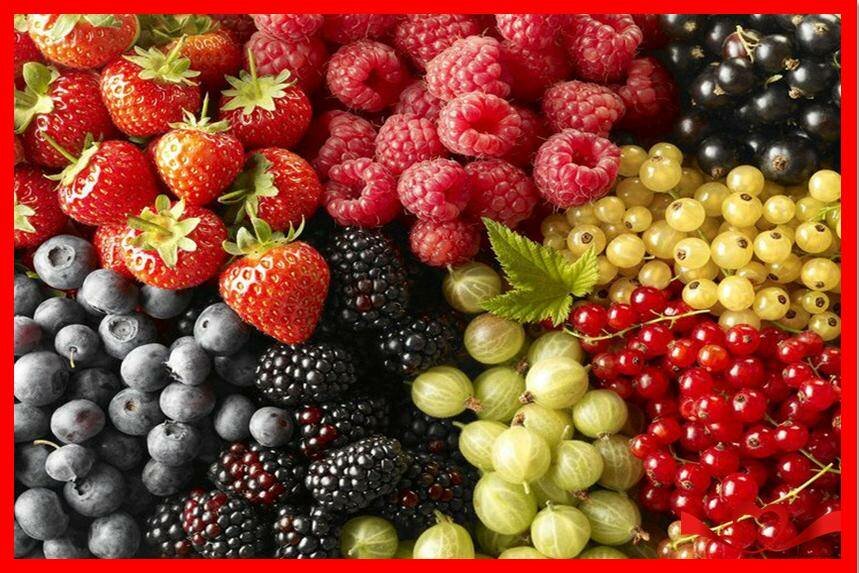 Безумно вкусный и простой сахарный пирог «tarte au sucre»