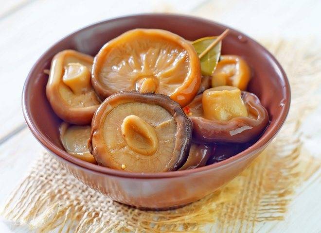Маринованные рыжики: как заготовить «царские грибы» впрок холодным и горячим способом