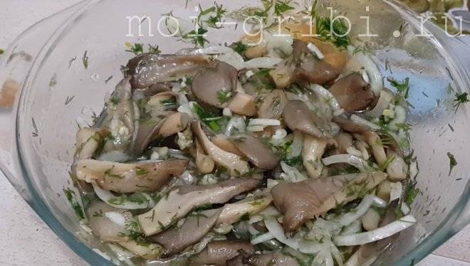 Маринованные вешенки: топ 11 очень вкусных рецептов быстрого приготовления
