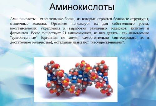 Топ-10 лучших рецептов приготовления молочного коктейля в блендере