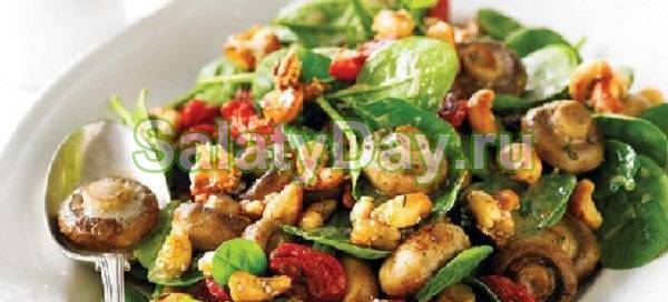 20 простых и очень вкусных салатов с шампиньонами