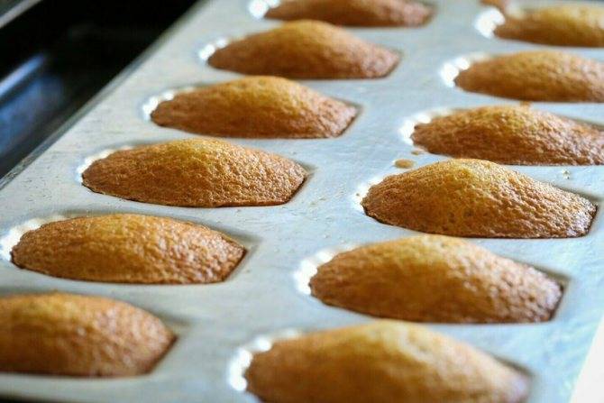 "мадлен" (печенье): классический рецепт