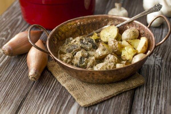 Фрикасе из курицы с шампиньонами по классическому рецепту