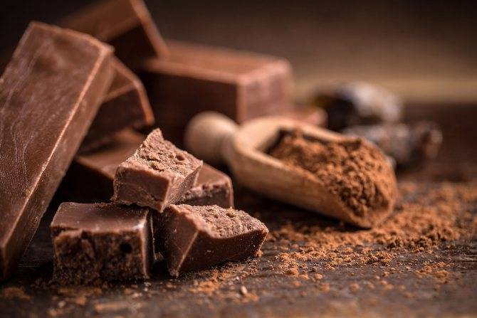 Шоколадное мороженое: рецепт с шоколадной крошкой, из какао, со сливками