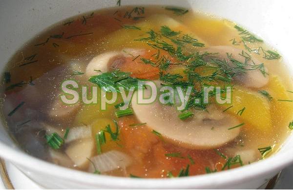 Рецепты супов с консервированными шампиньонами