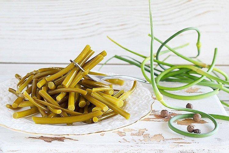 Чесночные стрелки — рецепты приготовления блюд из стрелок чеснока