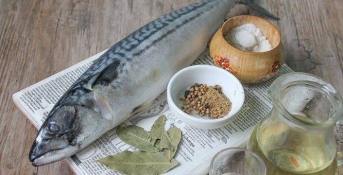 Скумбрия, маринованная в домашних условиях