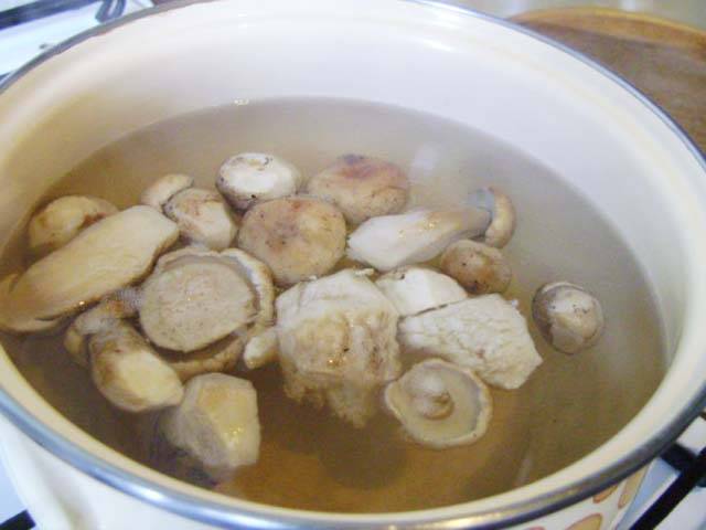 Грибной суп: 14 самых вкусных рецептов приготовления