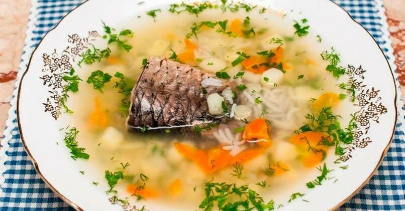 15 рецептов ароматной ухи из семги