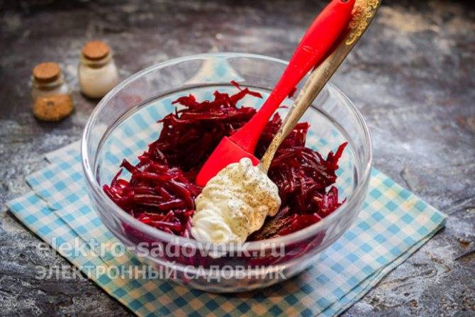 Салат из селедки и свеклы: 7 вкуснейших рецептов с фото
