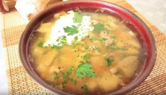 Грибной суп: 14 самых вкусных рецептов приготовления