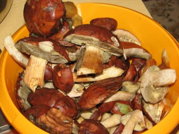 Грибы на зиму. вкусные рецепты грибных заготовок в банках