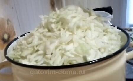 Топ-15 салаты из белокочанной капусты