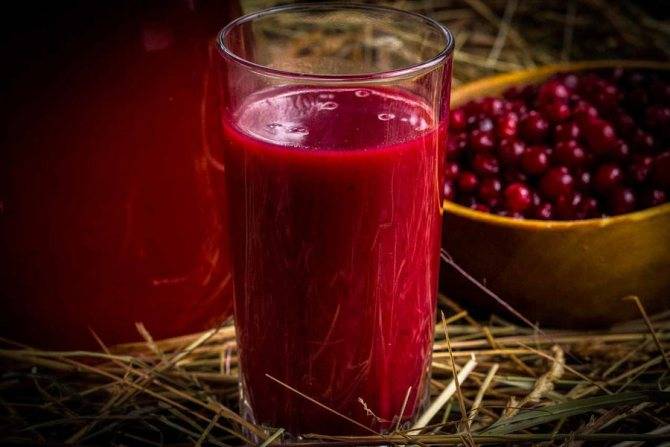 Рецепты приготовления клюквенного киселя из свежей и замороженной ягоды
