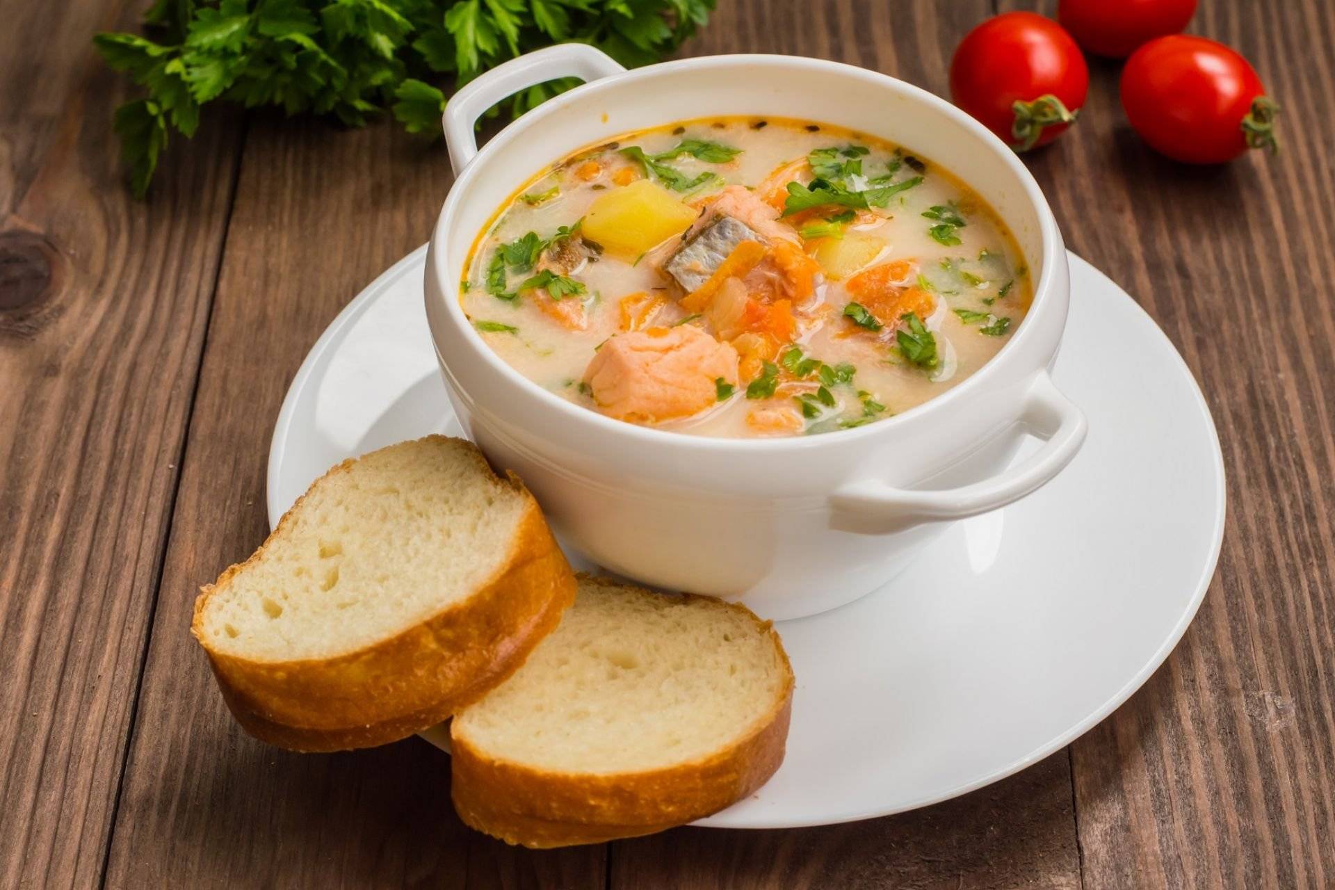 Уха из семги - как вкусно приготовить в домашних условиях по рецептам с фото