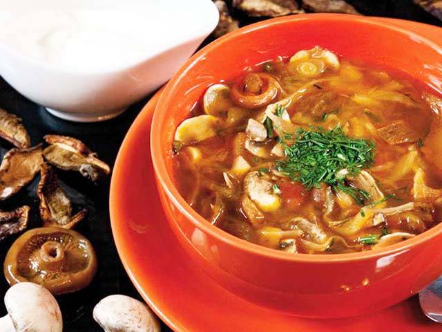 Грибной суп: 14 самых вкусных рецептов приготовления