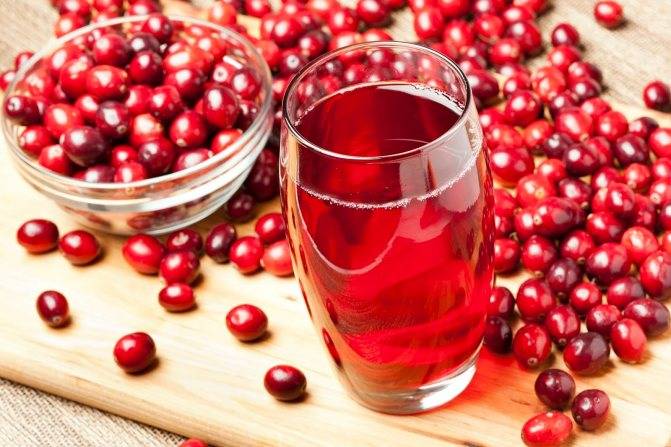 Морс из черники: рецепт