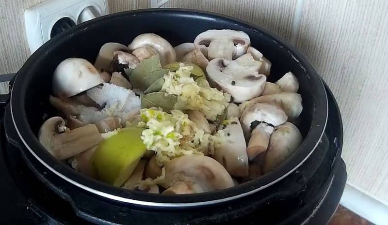 Вкуснейшие тушеные блюда с картошкой и грибами в мультиварках редмонд и поларис. рецепты и фото