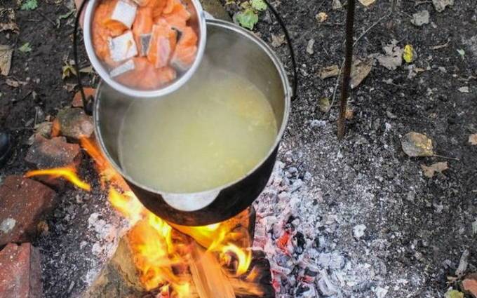 15 рецептов ароматной ухи из семги