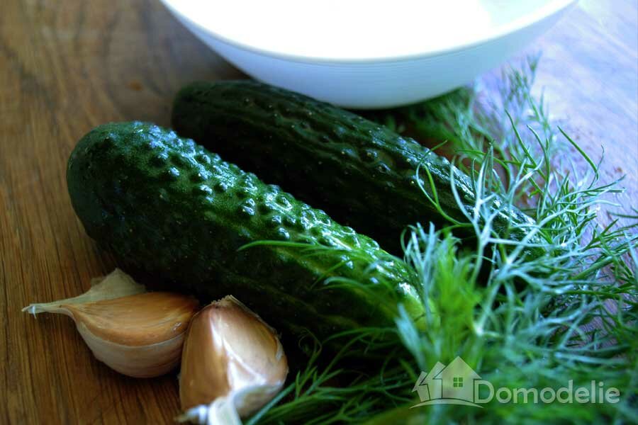 Греческий соус дзадзики: рецепт приготовления в домашних условиях