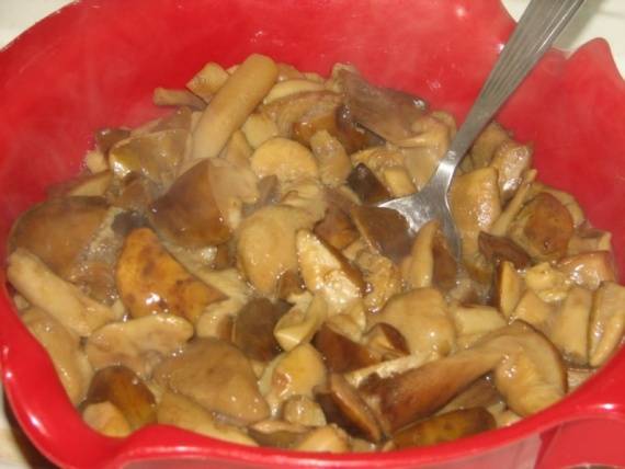 Грибы на зиму. вкусные рецепты грибных заготовок в банках