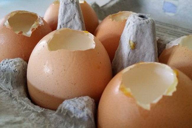 Десерт панна котта в домашних условиях