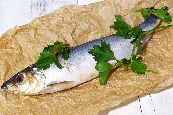 Как солить селедку в домашних условиях быстро и вкусно? простые и самые вкусные рецепты засолки сельди