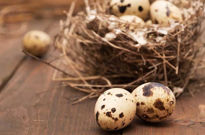 20 вкусных салатов с тунцом, которые удивят ваших гостей