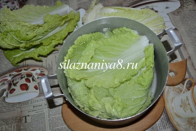 Вкусные голубцы из пекинской капусты с мясным фаршем, приготовленные в духовке по простым рецептам