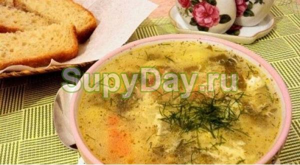 Рецепты вегетарианских овощных супов