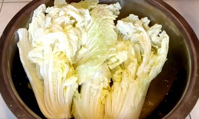 Салаты из свежей моркови. 10 рецептов простых и быстрых витаминных салатов