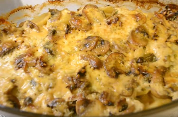 15 быстрых и вкусных рецептов картофельной запеканки