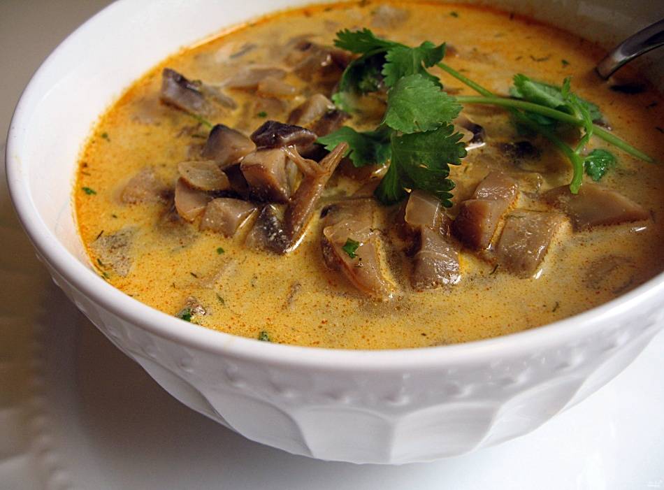 Супы с грибами — простые и вкусные рецепты