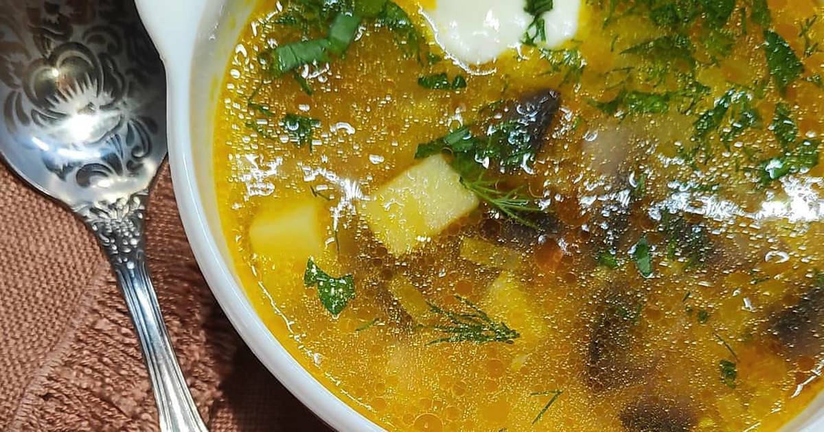 Грибной суп из шампиньонов – 10 вкусных рецептов с фото пошагово
