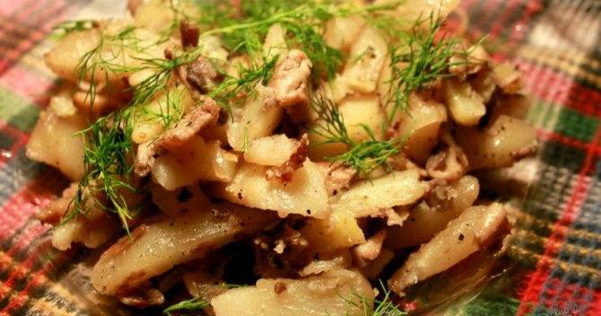 Маринованные вешенки: топ 11 очень вкусных рецептов быстрого приготовления