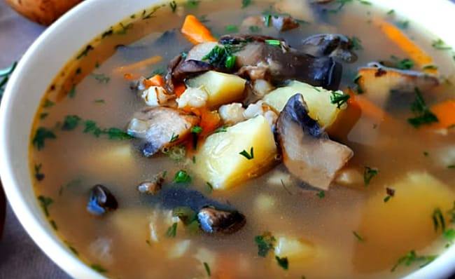 Рецепты супов с консервированными шампиньонами