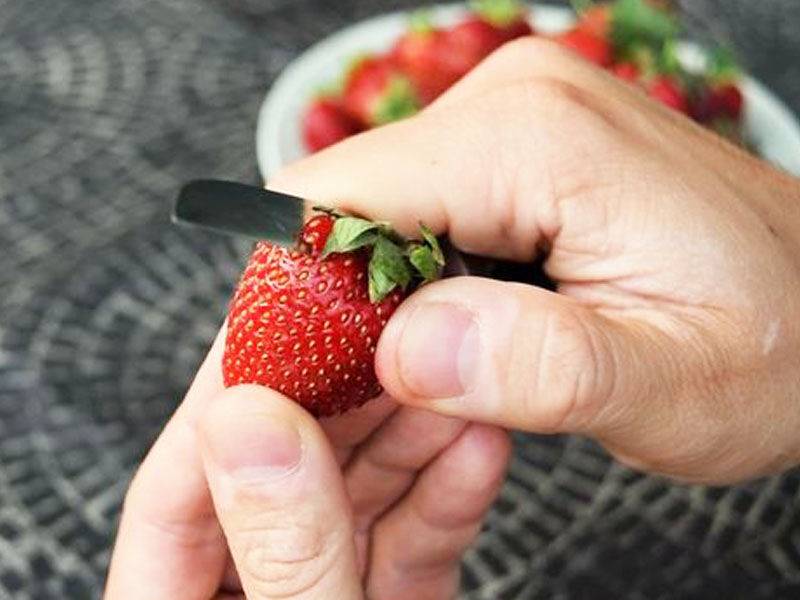 20 лучших рецептов домашнего лимонада на любой вкус