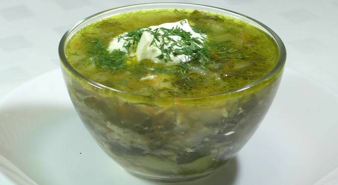 30 лучших рецептов супов из курицы и ароматного куриного бульона
