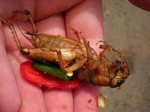 Корейская кухня: 20 самых вкусных рецептов корейских блюд