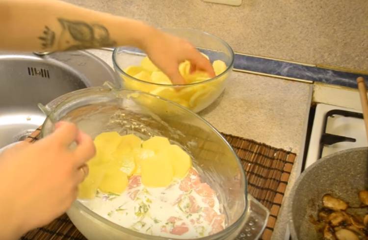 15 быстрых и вкусных рецептов картофельной запеканки
