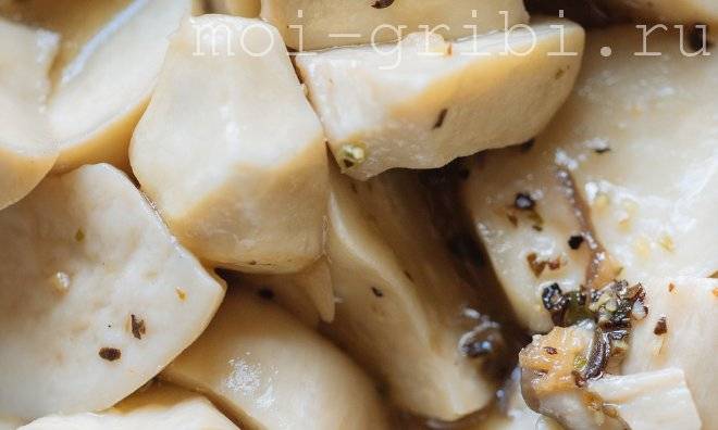 Маринованные вешенки: топ 11 очень вкусных рецептов быстрого приготовления