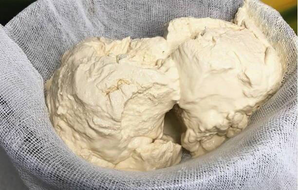 Готовим домашний творог из кефира различными способами